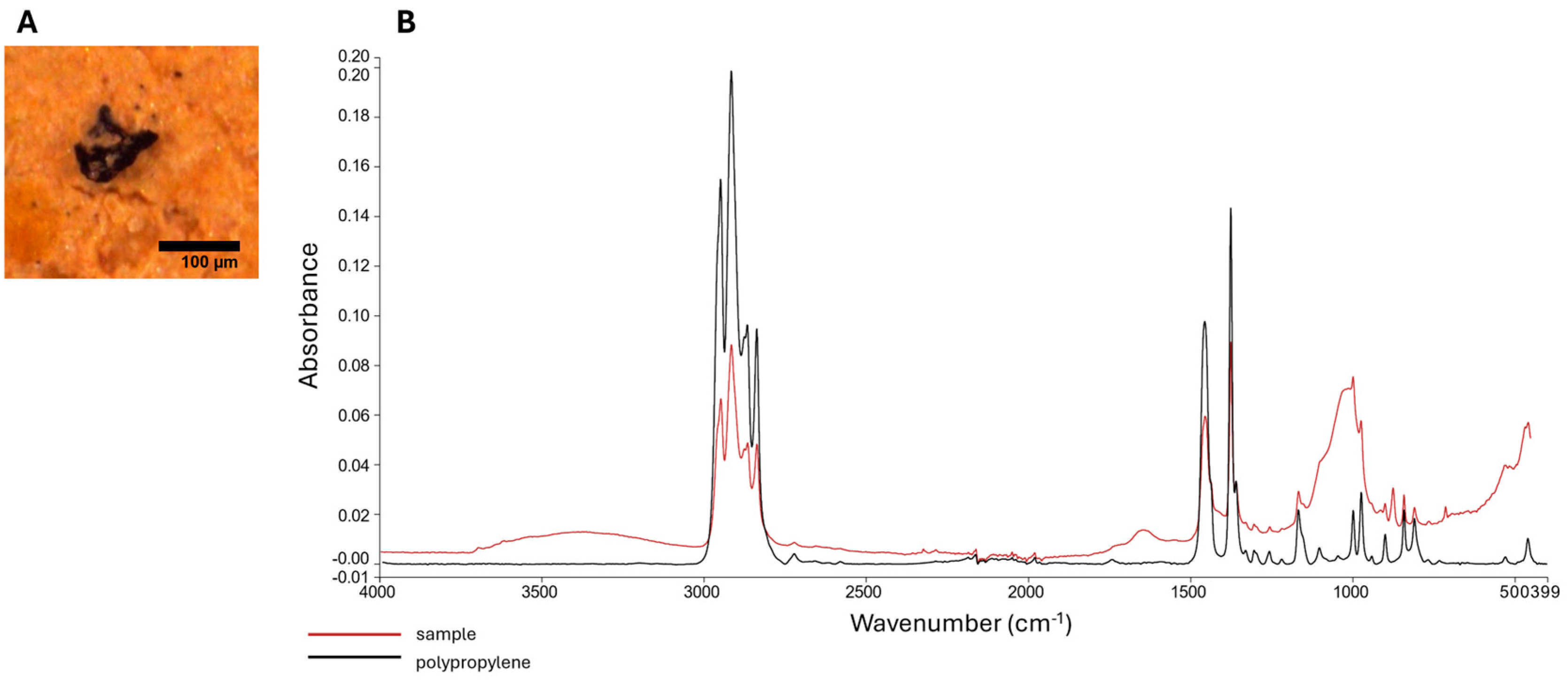 Pollutants 05 00030 g005