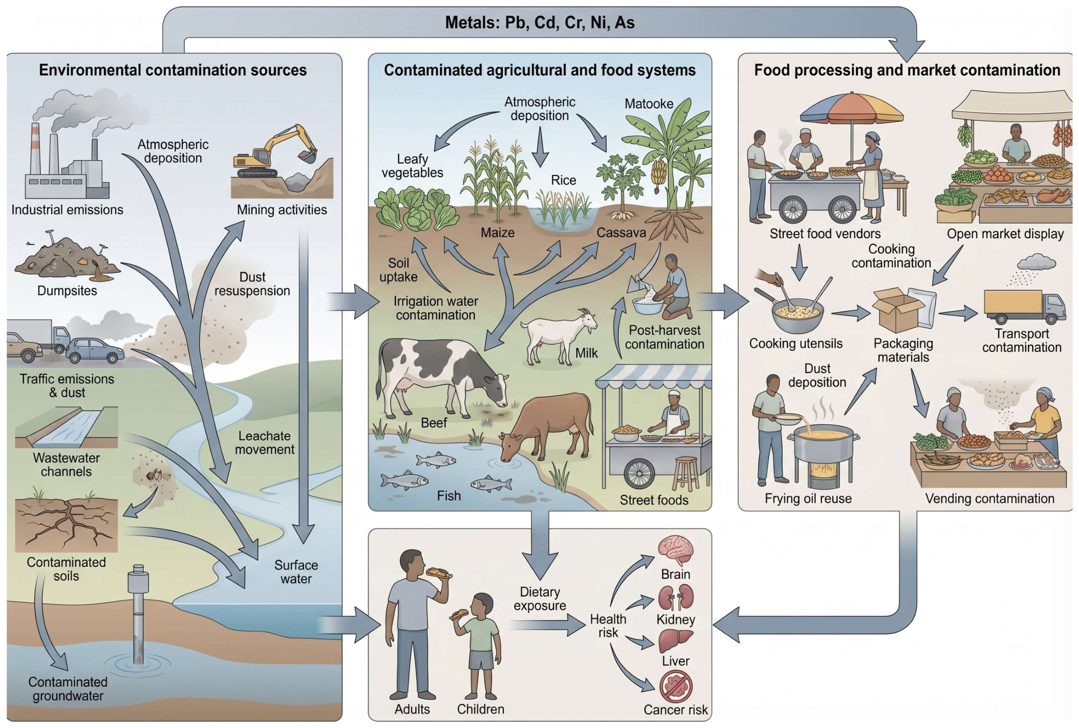Pollutants 06 00039 g001 Pollutants 06 00039 g001