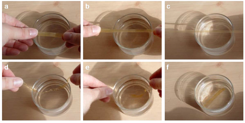 Polymers 02 00071 g007 1024
