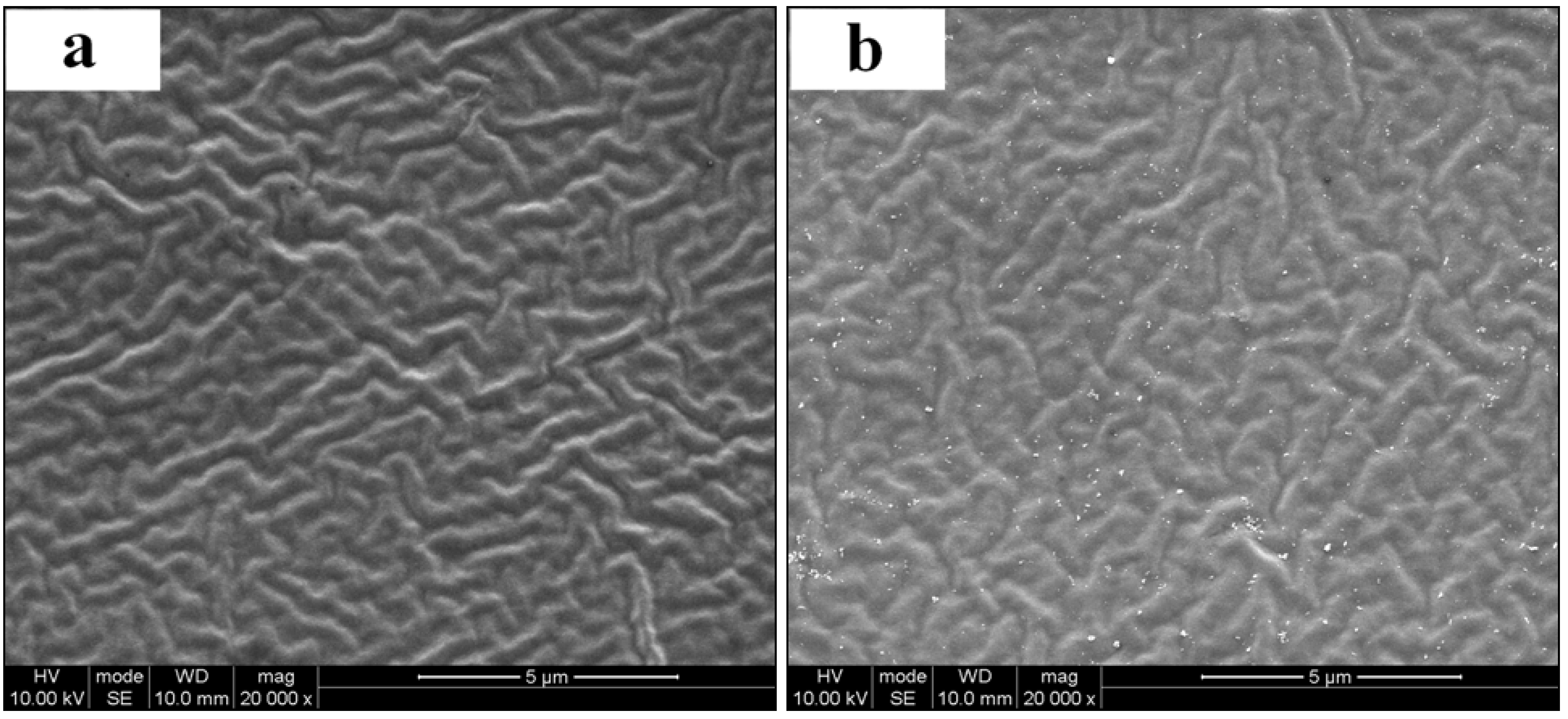 Polymers 02 00102 g004