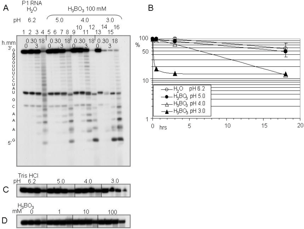Polymers 02 00211 g004 1024