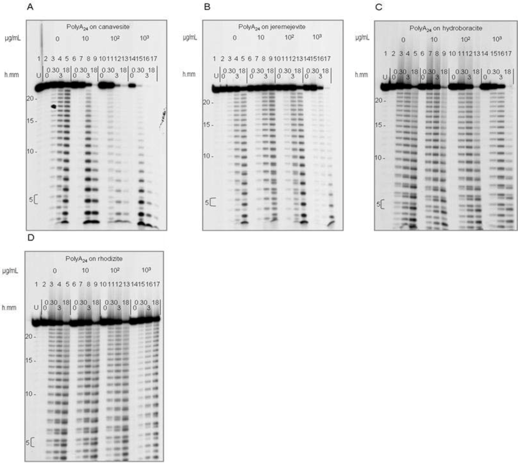 Polymers 02 00211 g005 1024