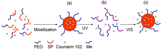 Polymers 02 00229 i002