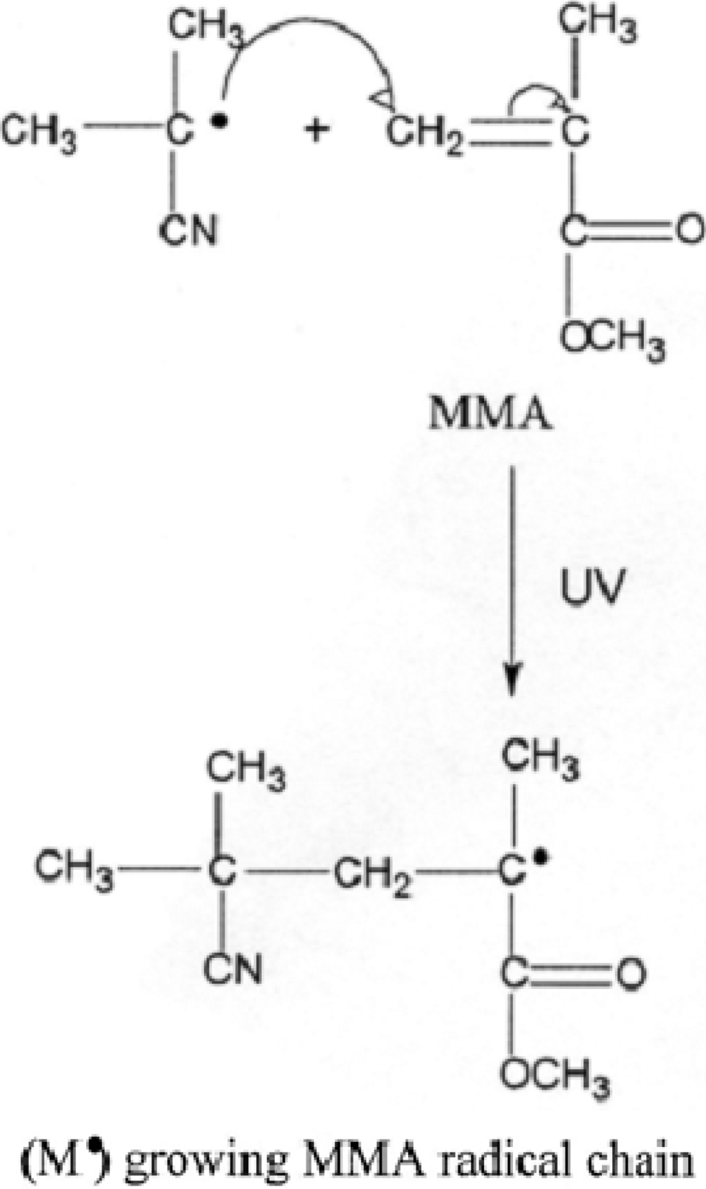 Polymers 02 00265 g003 1024