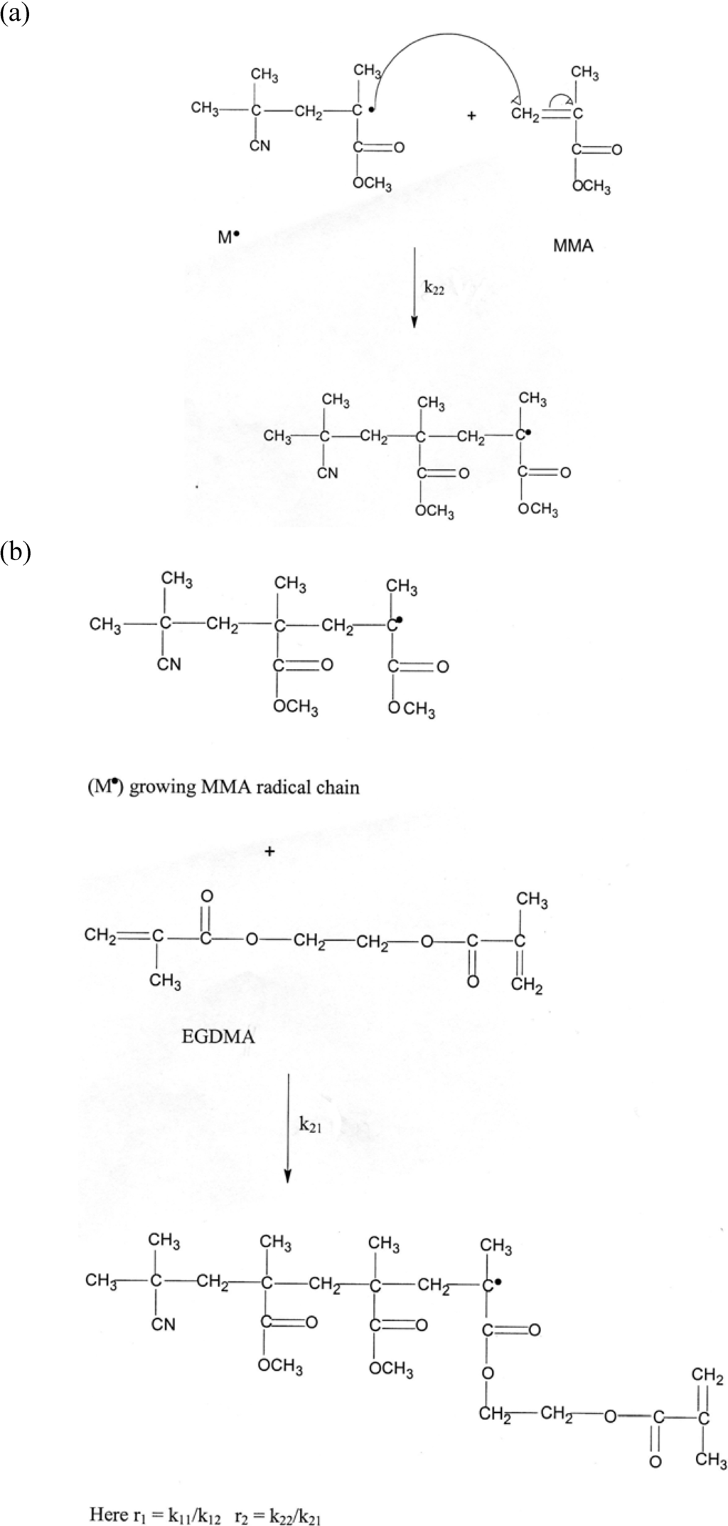 Polymers 02 00265 g005 1024