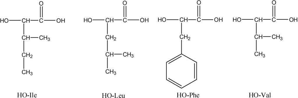 Polymers 02 00418 g012 1024