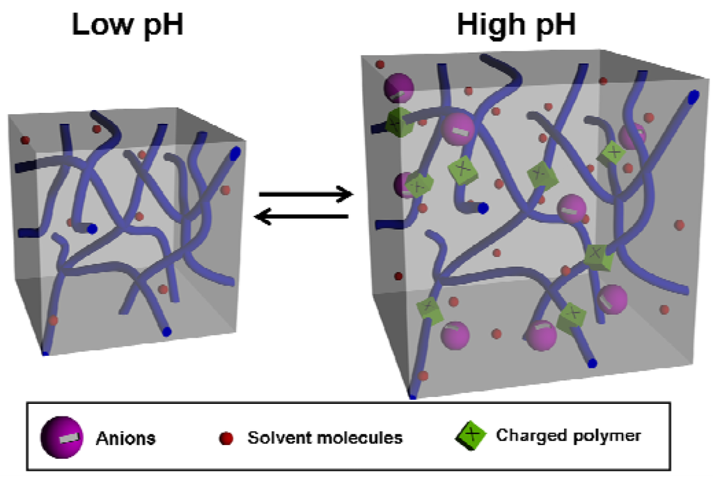 Polymers 02 00454 g001 1024