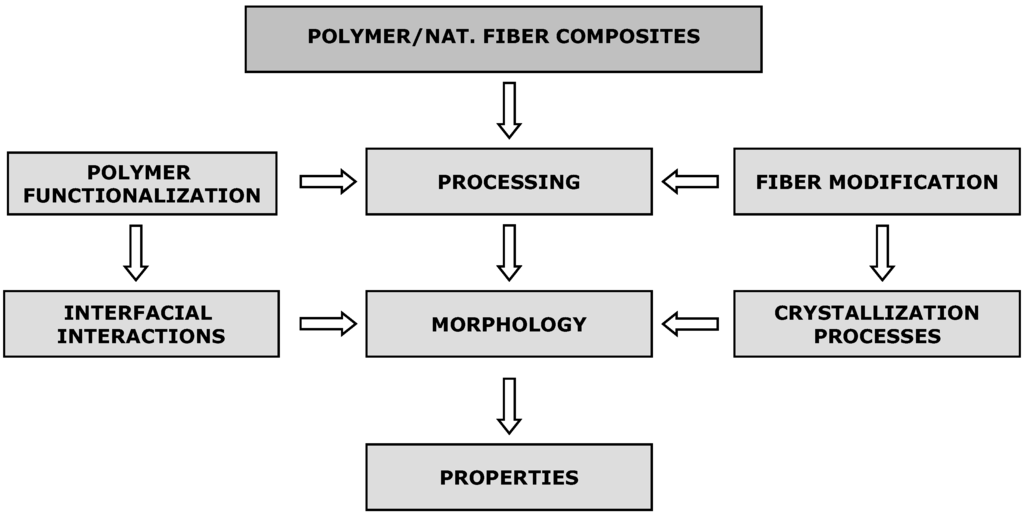 Polymers 02 00554 g001 1024
