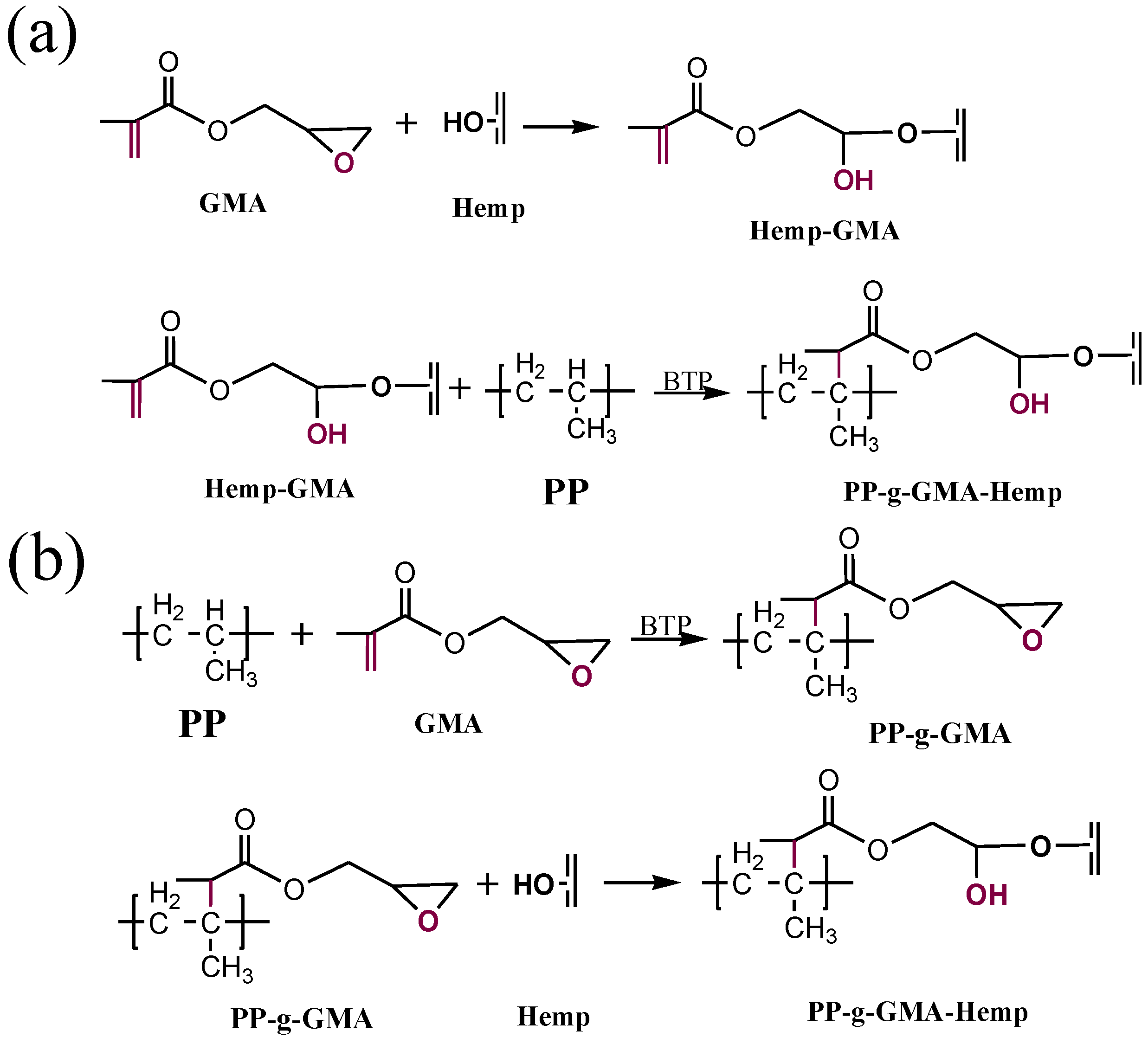 Polymers 02 00554 g002