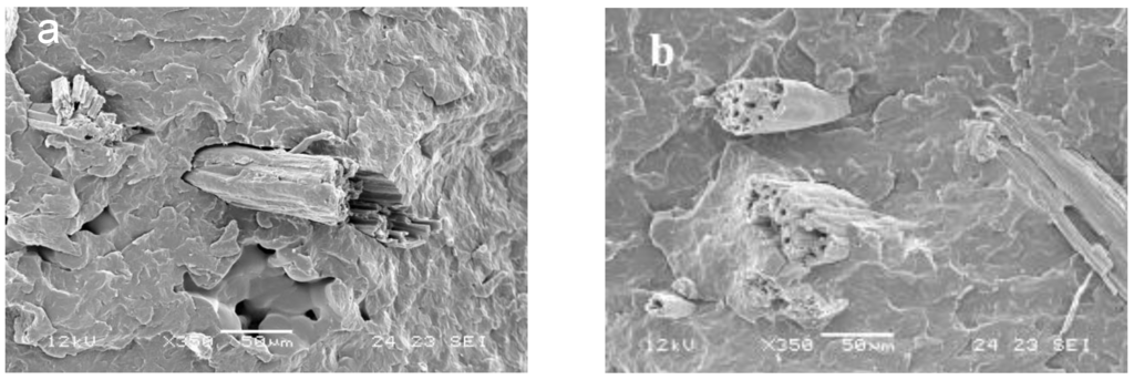 Polymers 02 00554 g003 1024