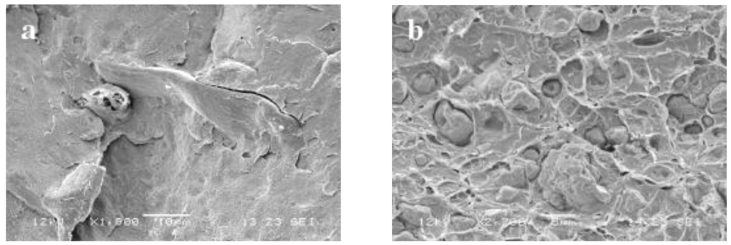 Polymers 02 00554 g008 1024