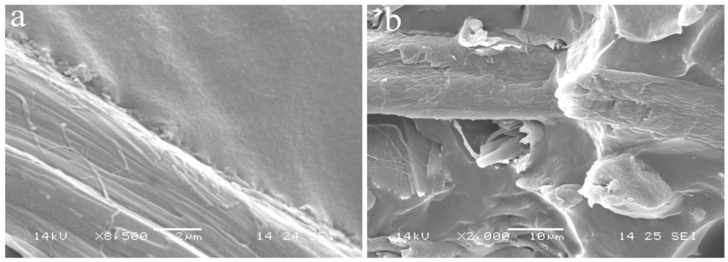 Polymers 02 00554 g015 1024