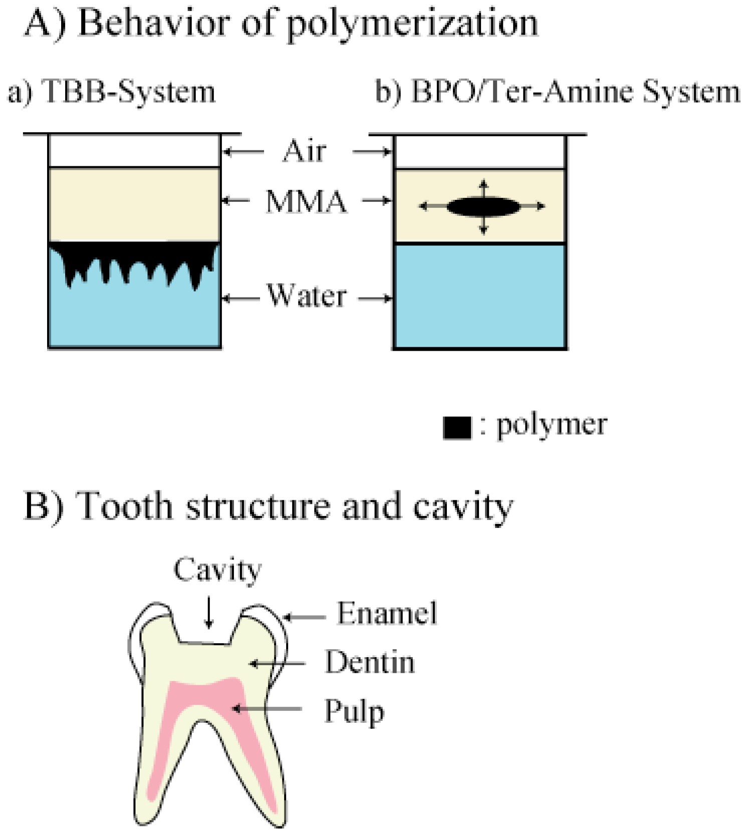 Polymers 02 00575 g002