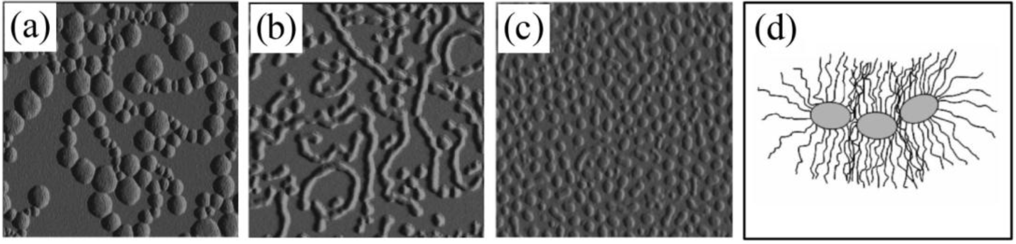 Polymers 02 00596 g003