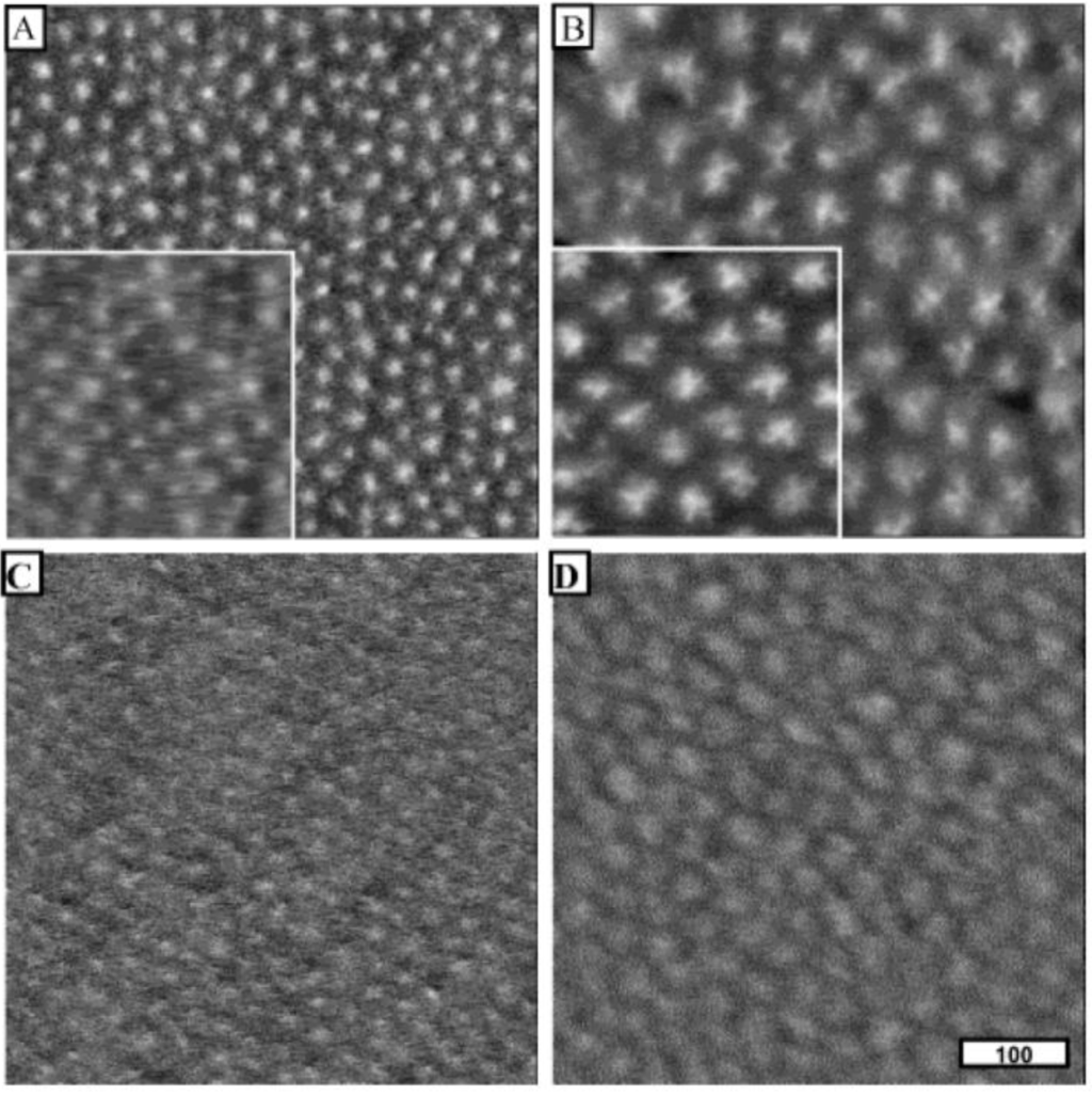 Polymers 02 00596 g006 1024