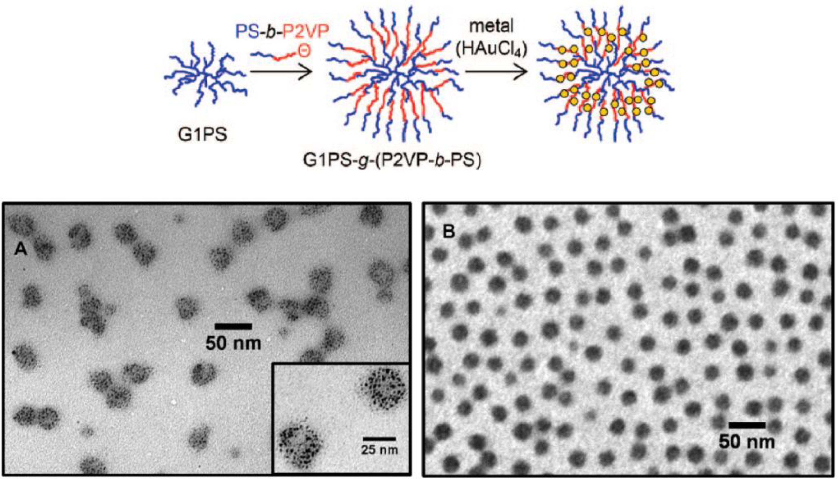 Polymers 02 00596 g007