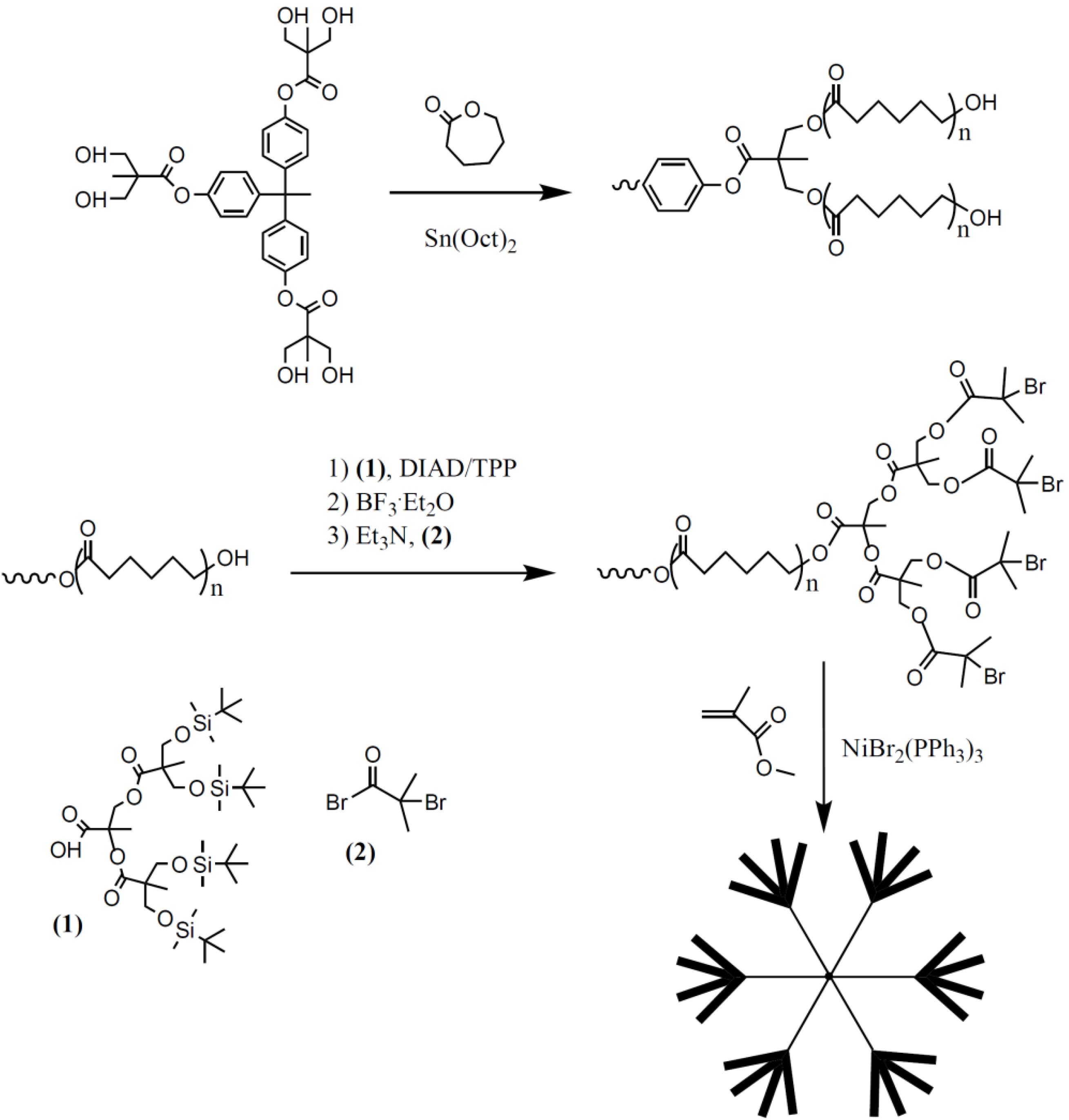 Polymers 02 00596 g016