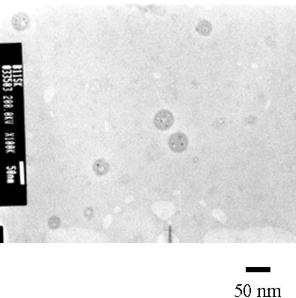 Polymers 02 00623 g003 1024