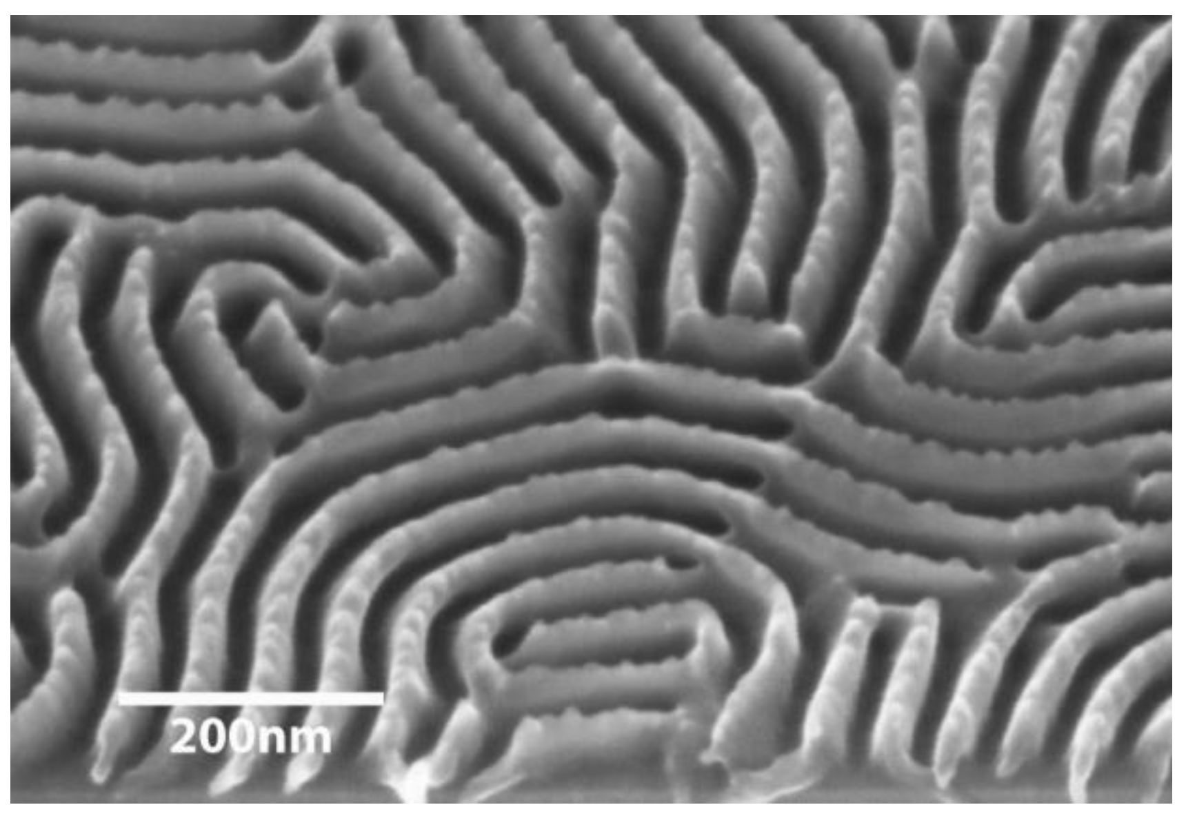 Polymers 02 00649 g008