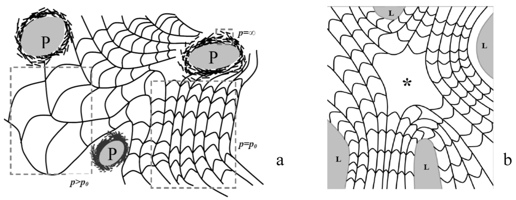 Polymers 02 00766 g002 1024