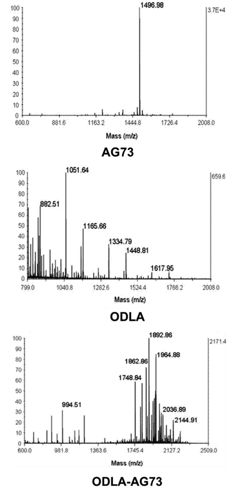 Polymers 03 00820f8 1024