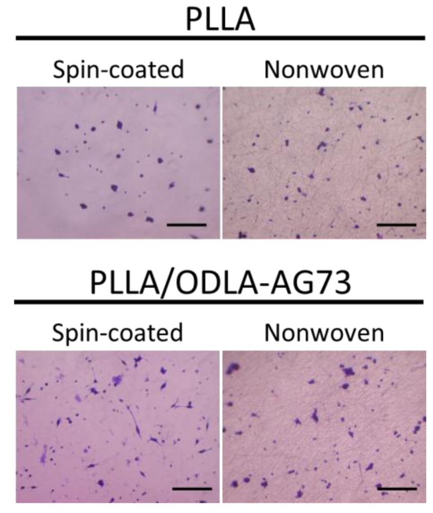 Polymers 03 00820f9 1024