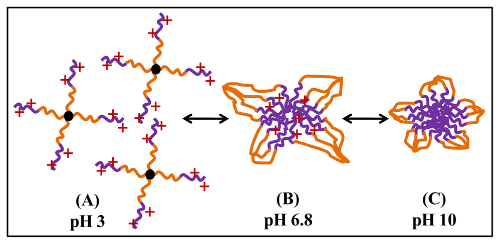 Polymers 03 01911f4 1024