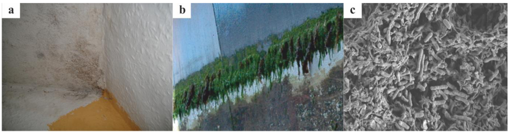 Polymers 04 00046 g001 1024