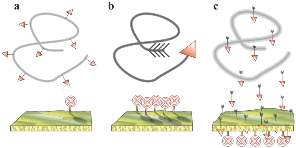 Polymers 04 00046 g002 1024