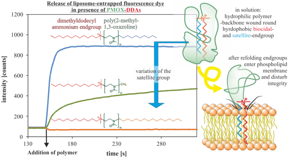 Polymers 04 00046 g005 1024