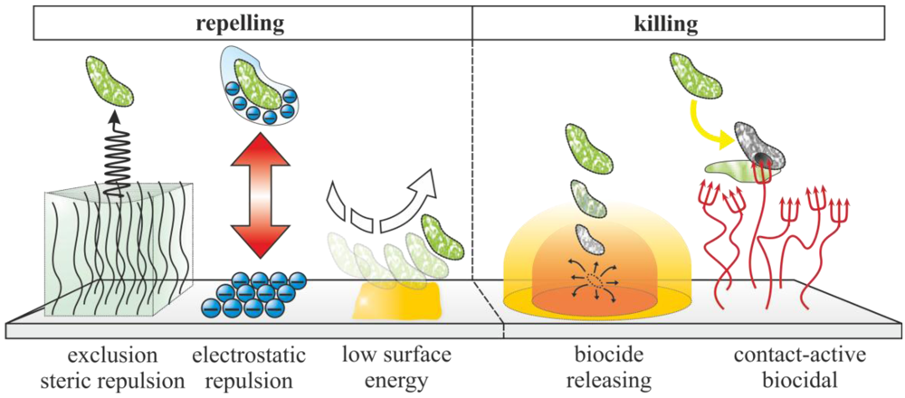 Polymers 04 00046 g006 1024