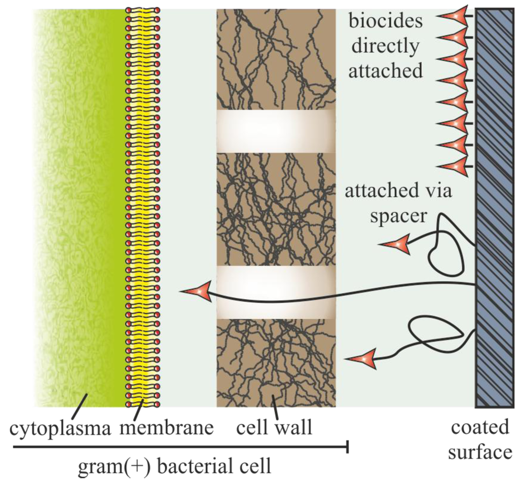 Polymers 04 00046 g008 1024