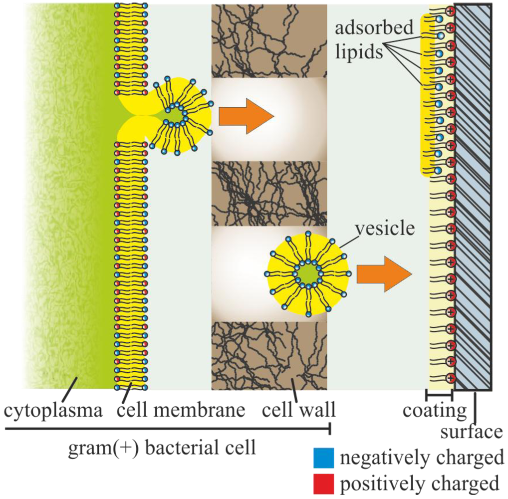 Polymers 04 00046 g009 1024