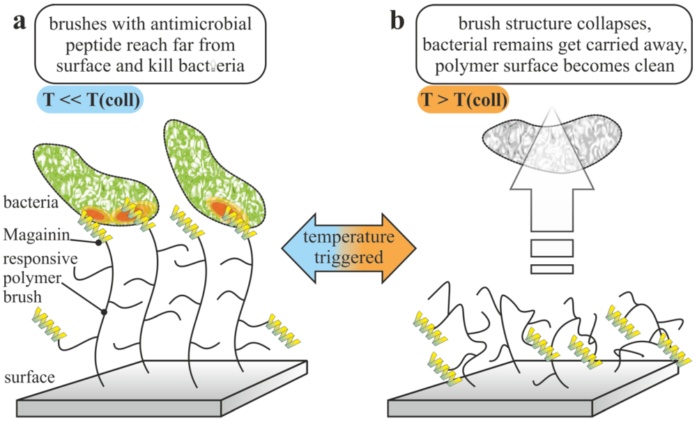 Polymers 04 00046 g011