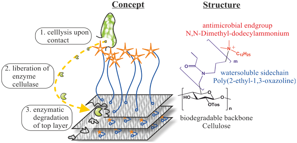 Polymers 04 00046 g012 1024