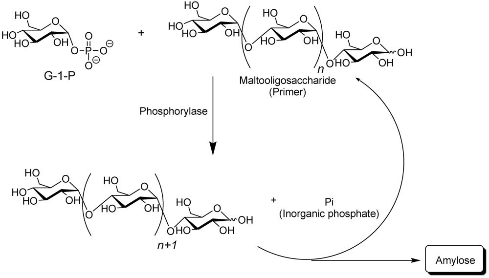 Polymers 04 00116 g002