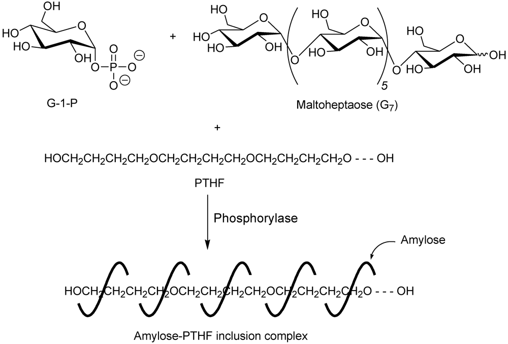 Polymers 04 00116 g004
