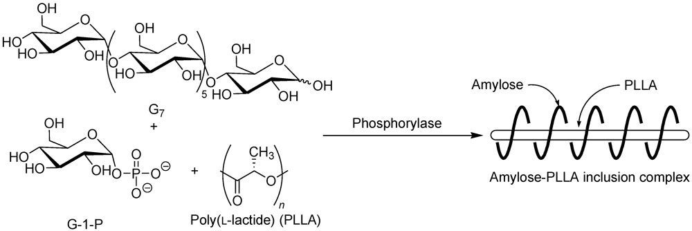 Polymers 04 00116 g008