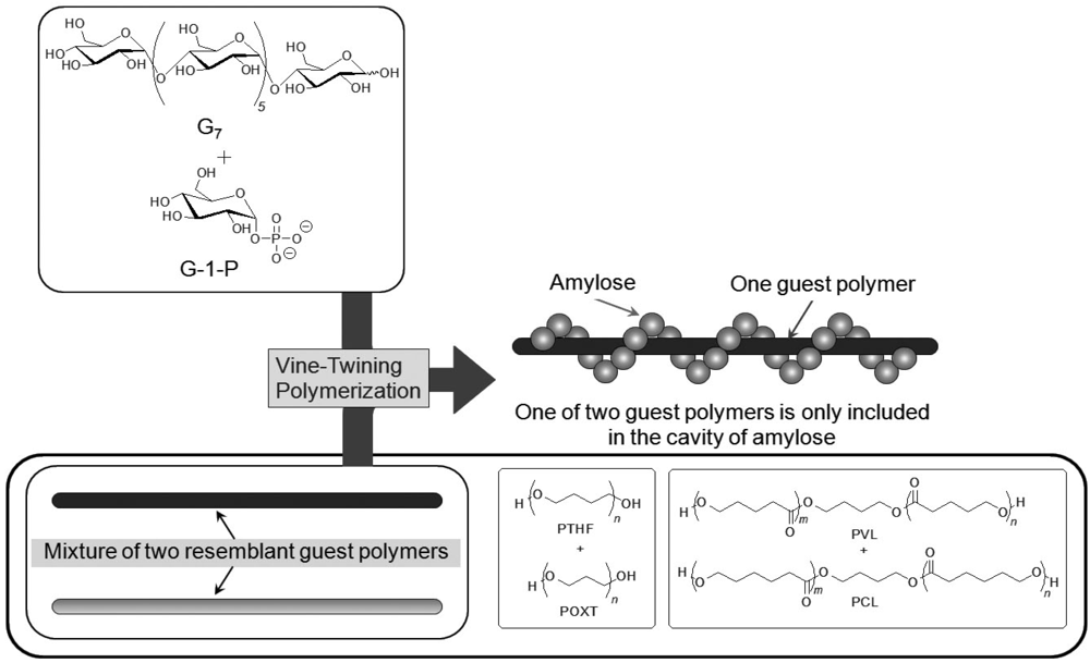 Polymers 04 00116 g010