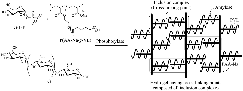 Polymers 04 00116 g011