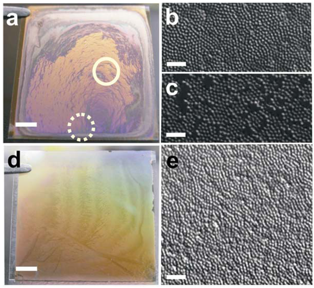 Polymers 04 00134 g002 1024