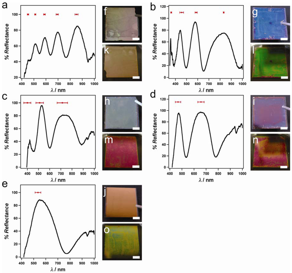 Polymers 04 00134 g004 1024