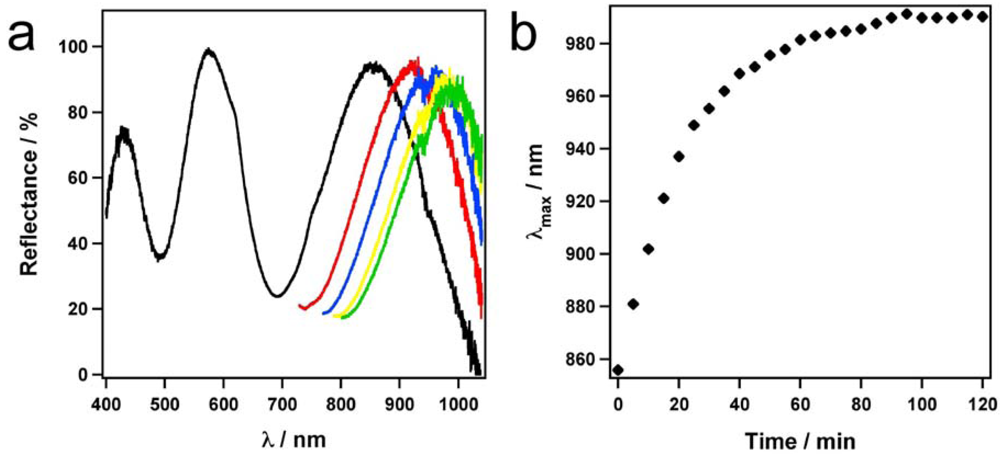 Polymers 04 00134 g009 1024