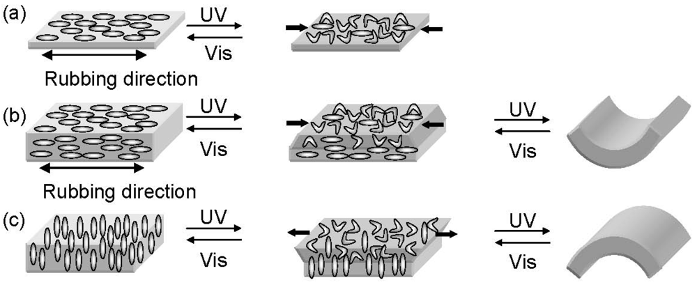 Polymers 04 00150 g001 1024