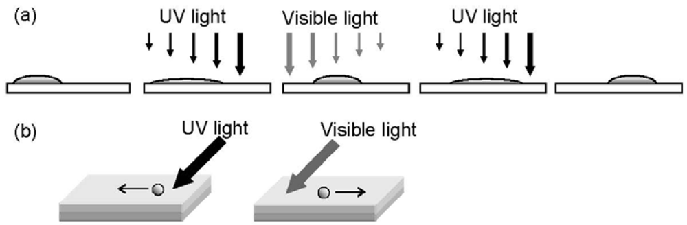 Polymers 04 00150 g002 1024