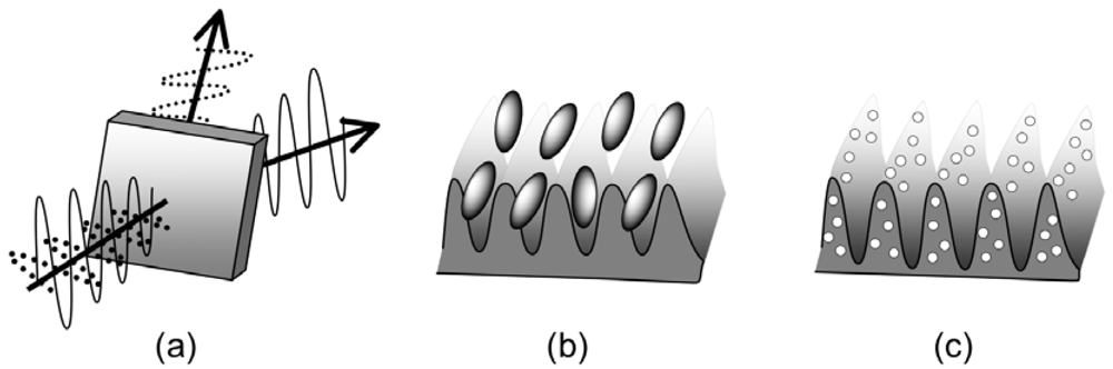 Polymers 04 00150 g013 1024