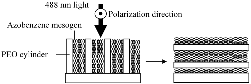 Polymers 04 00150 g015 1024