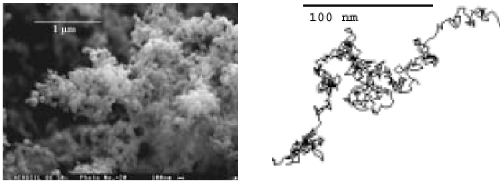 Polymers 04 00256 g005 1024