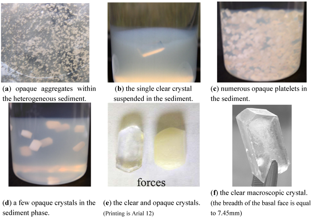 Polymers 04 00256 g006 1024