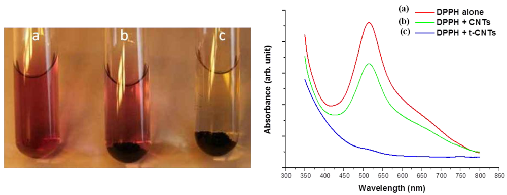 Polymers 04 00296 g002 1024